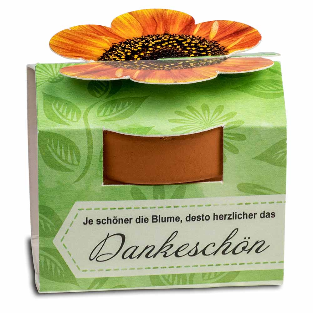 Tontöpfchen-Blume mit Samen - Ostern