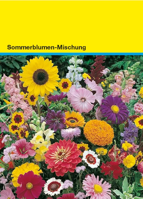 Samentütchen bunte Blumenmischung 82 x 114 mm