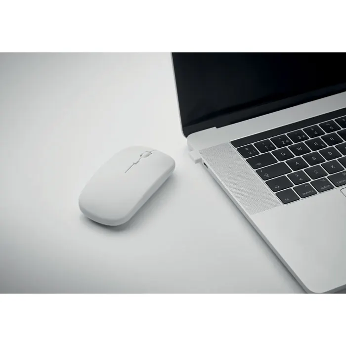 Optische Mouse