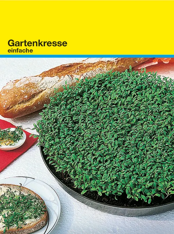 Samentütchen Kresse 82 x 114 mm