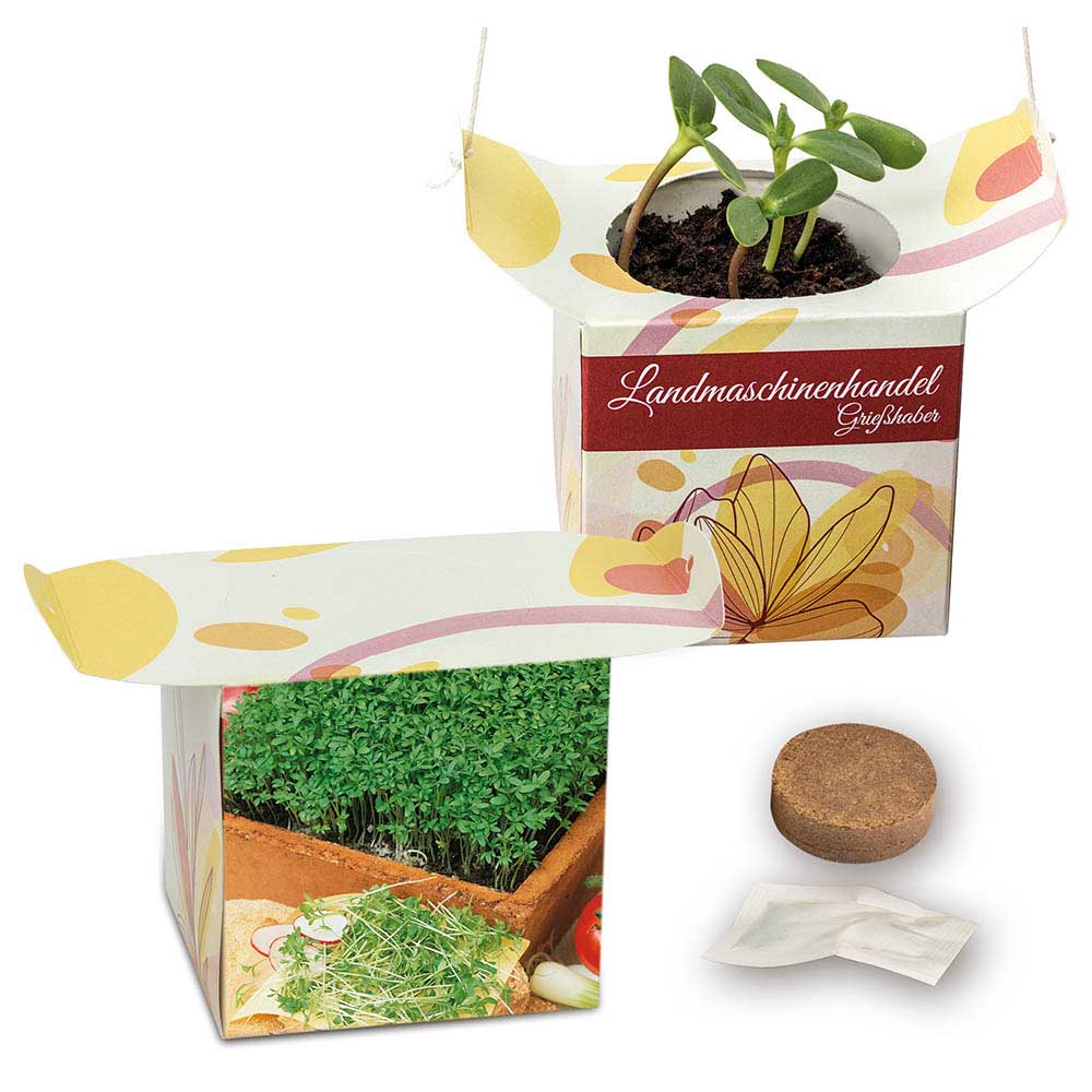 Blumenampel