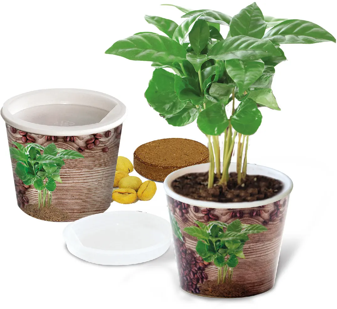 Coffee 2Grow