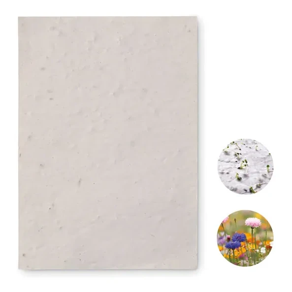 DIN A6 Wildblumen-Samenpapier