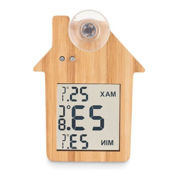 Thermometer