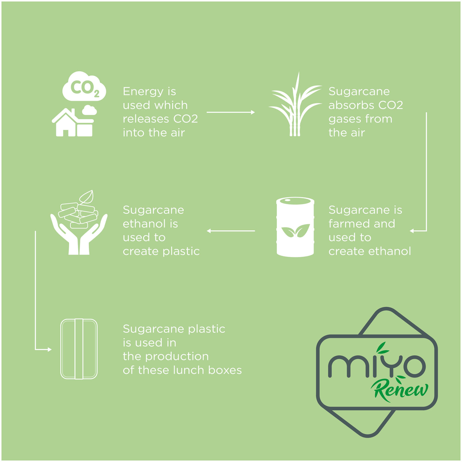 MIYO Renew 700 ml Lunchbox