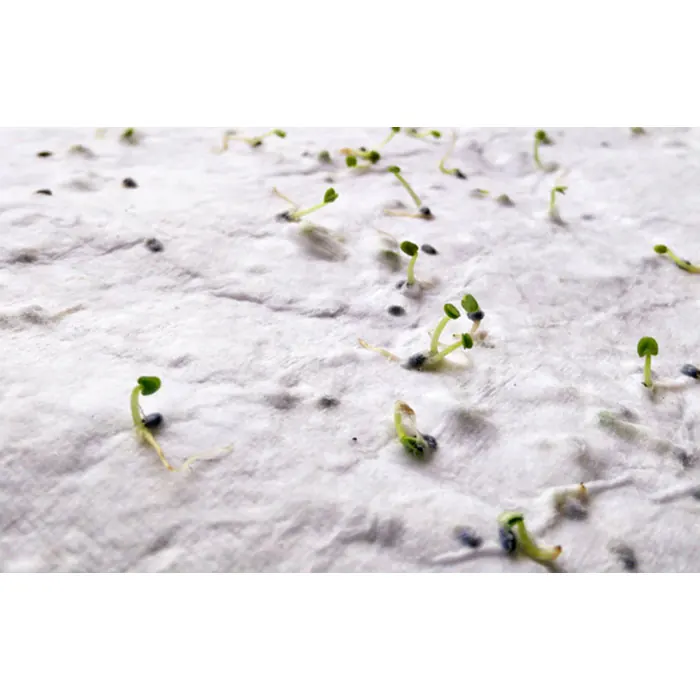 DIN A5 Wildblumen-Samenpapier