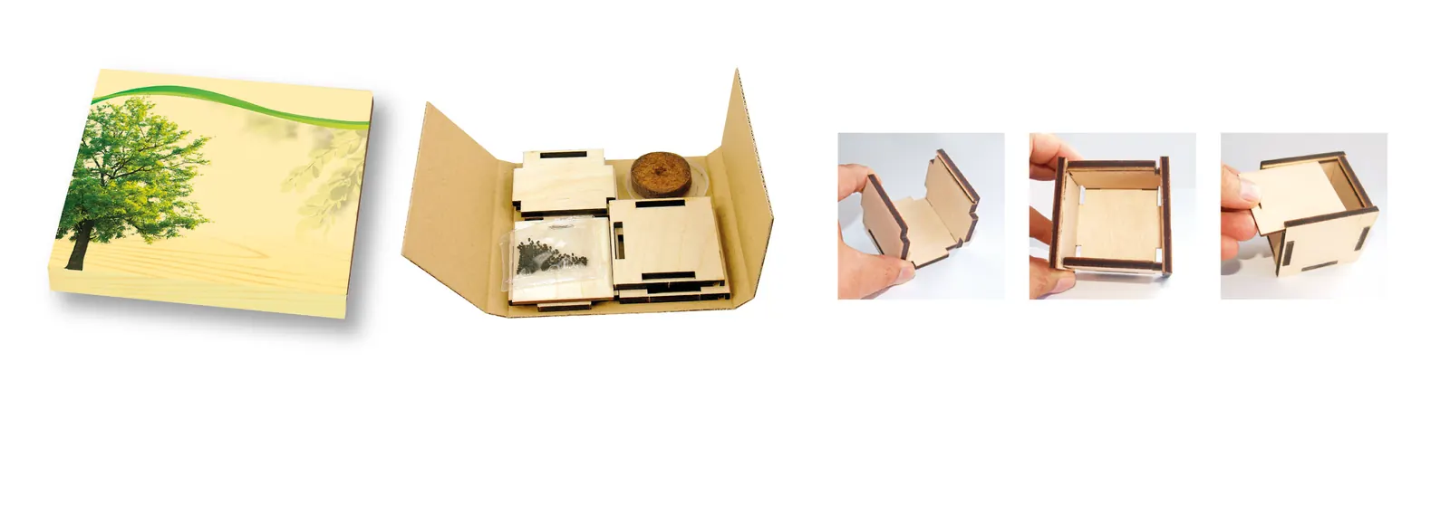Pflanzsteckbox Natur