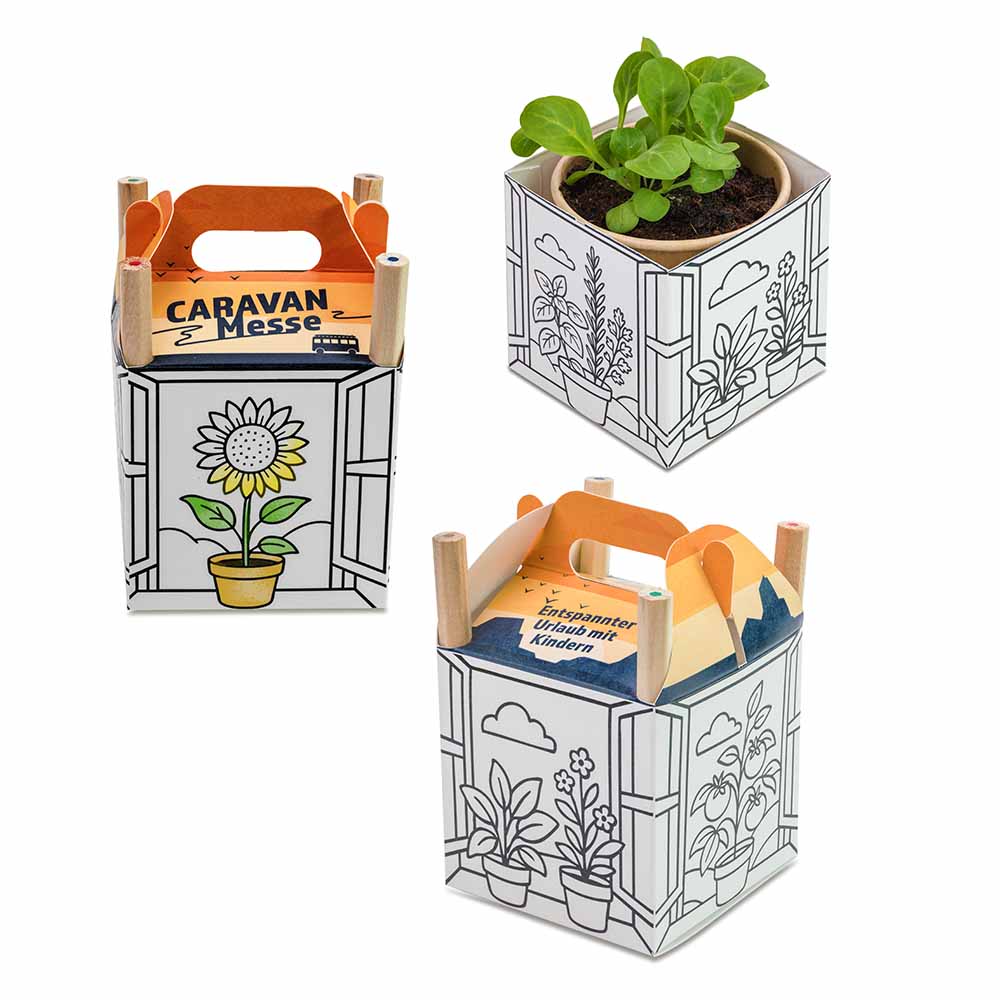 Colour & Grow House
