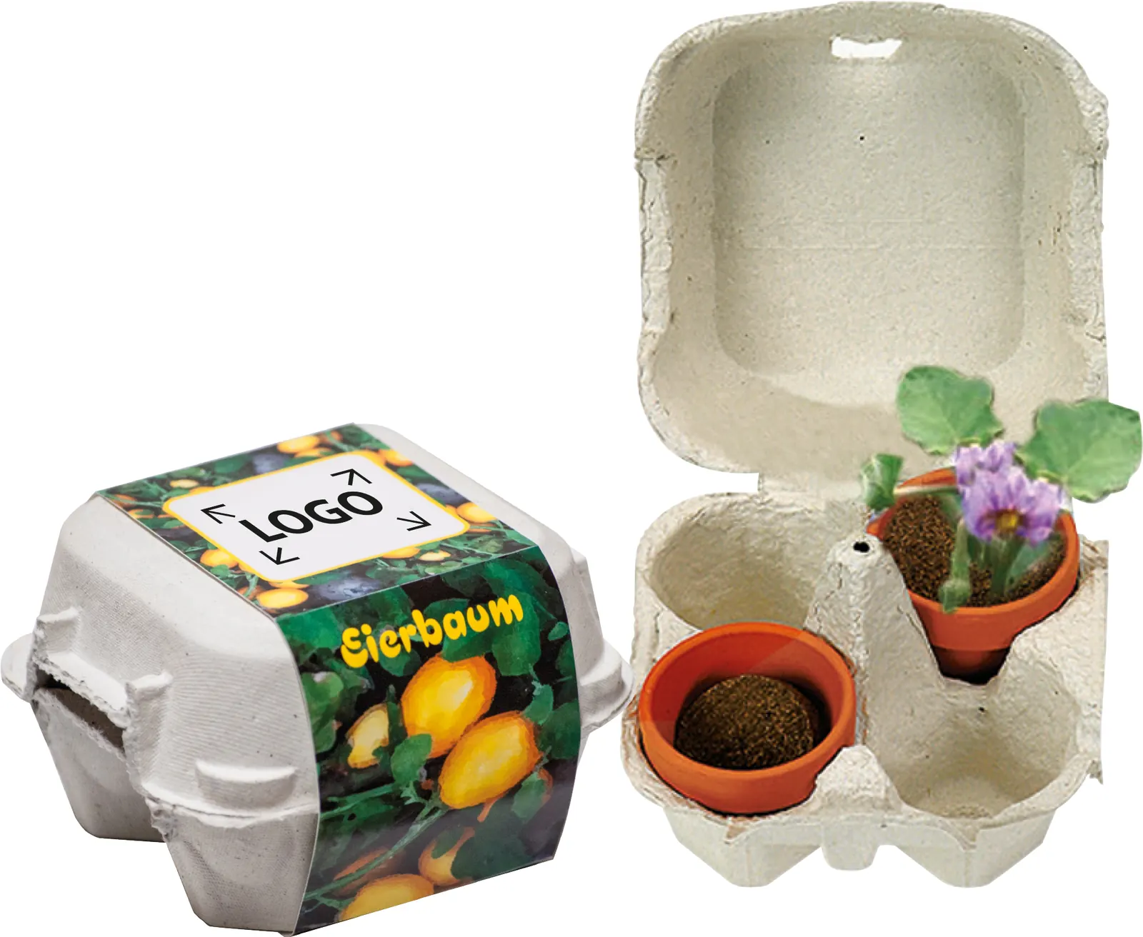 Eierbaum-Box
