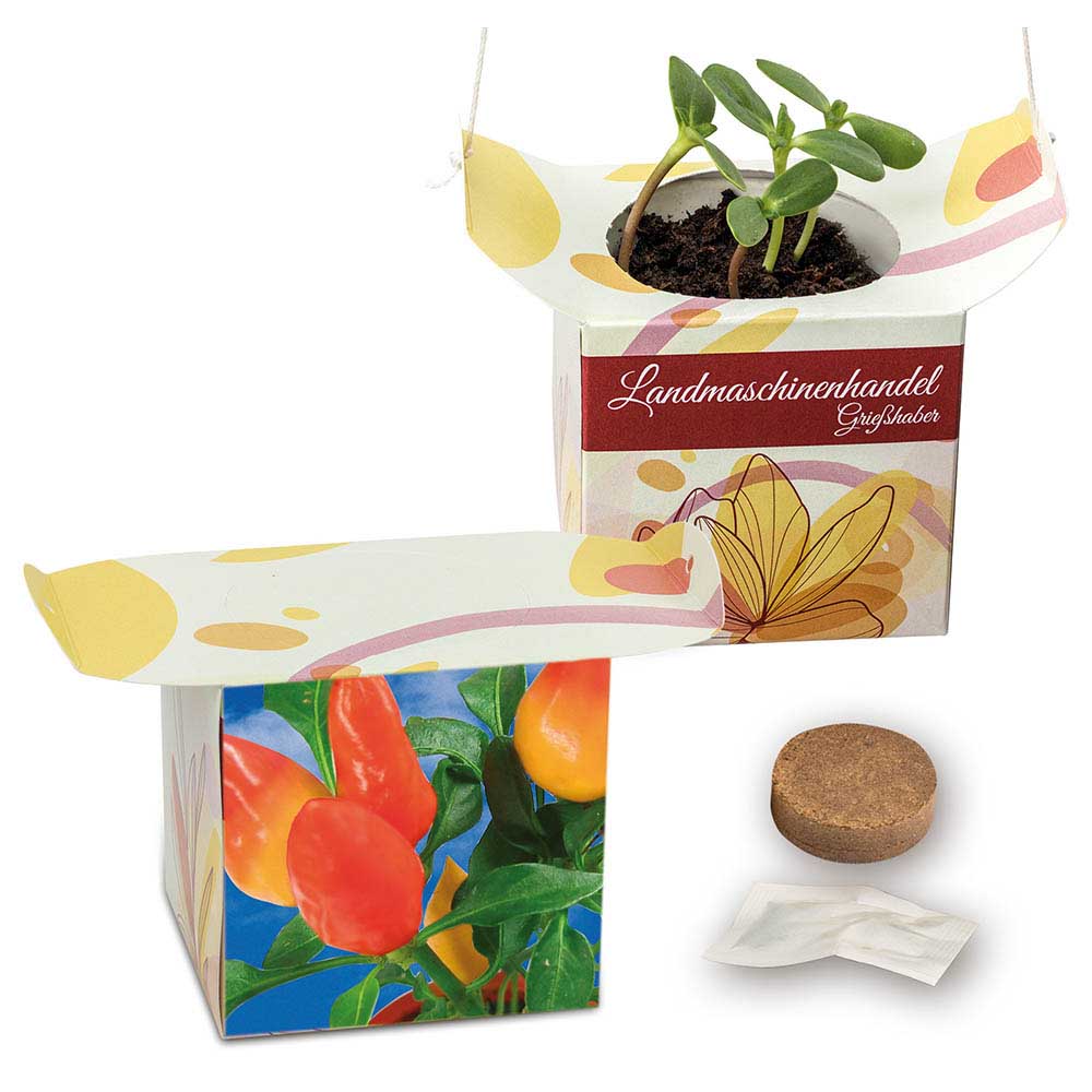 Blumenampel