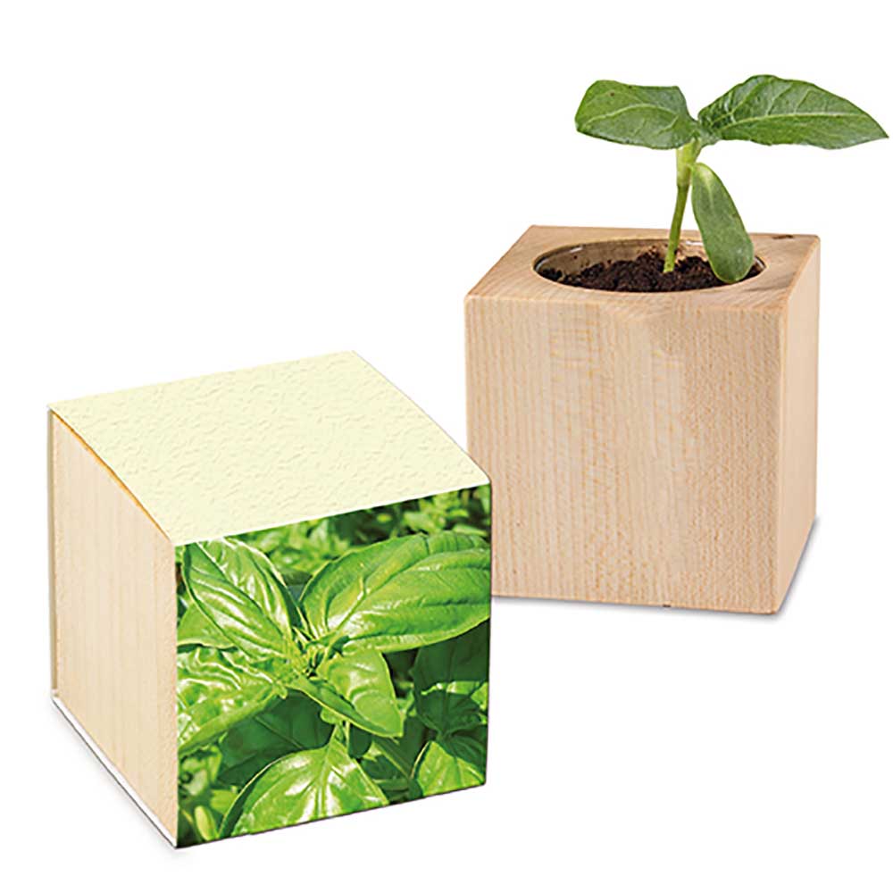 Pflanz-Holz mit Samen (Graspapier-Banderole)