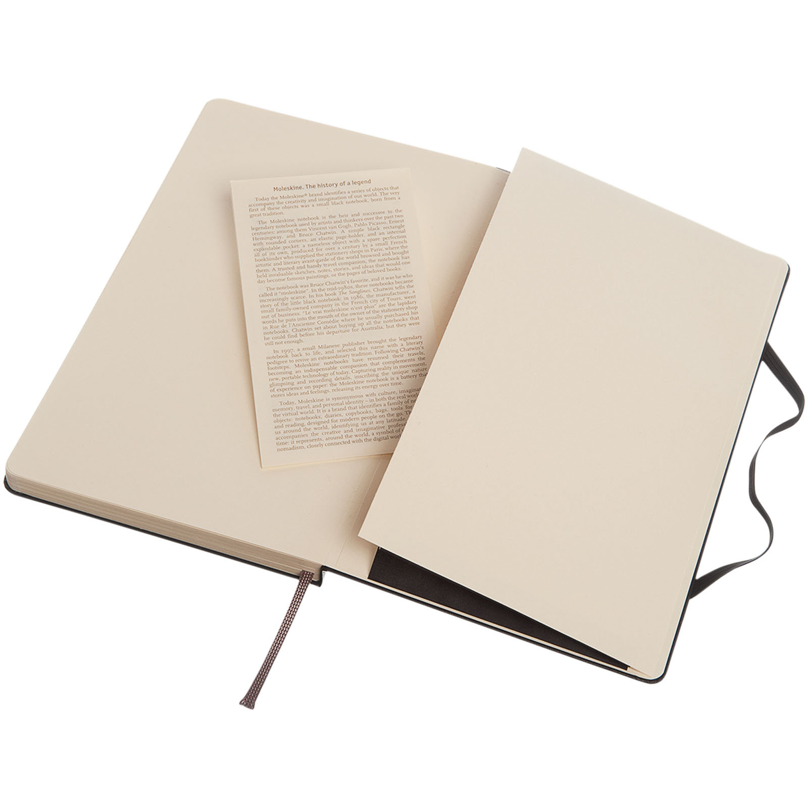 Moleskine Classic Hardcover Notizbuch L – gepunktet schwarz
