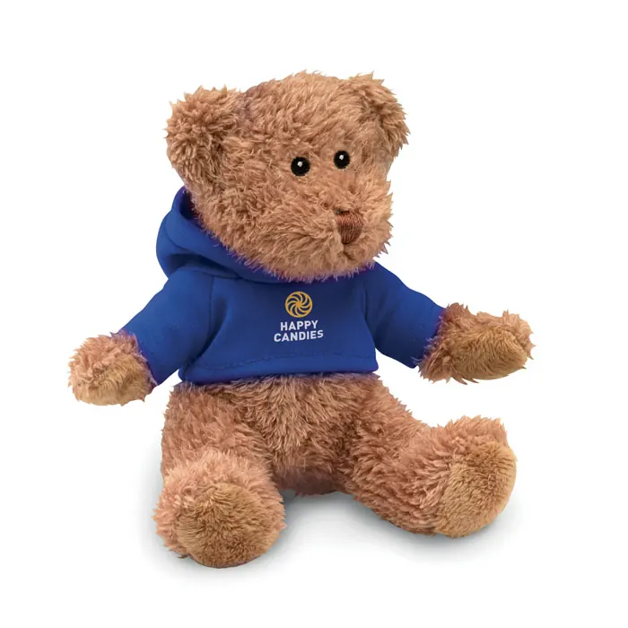Teddybär mit Hoody 