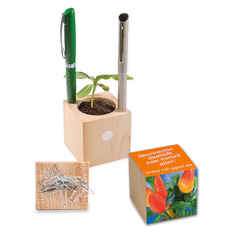 Pflanz-Holz Büro mit Samen