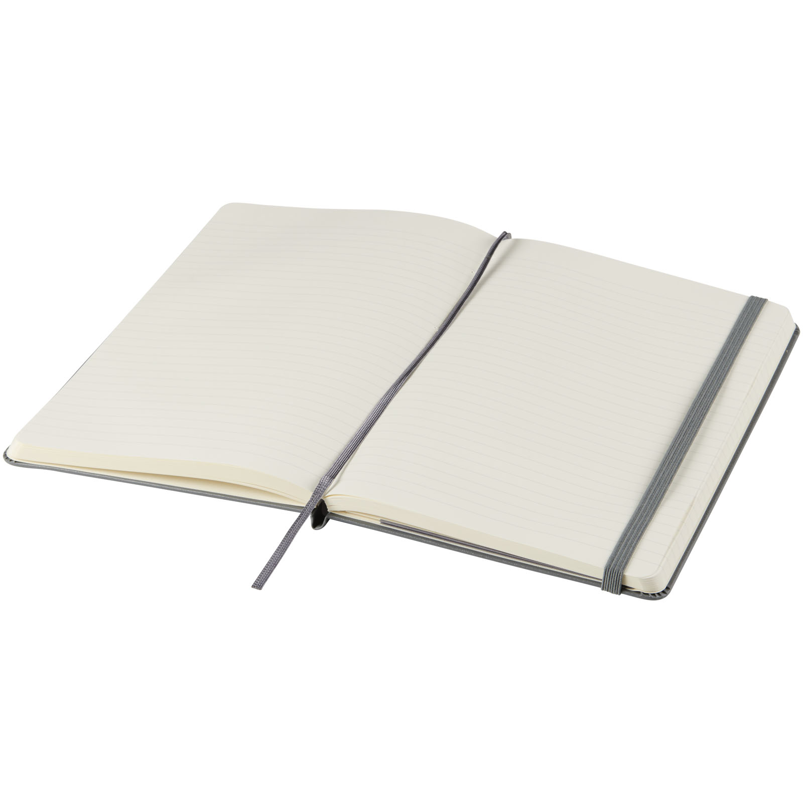 Moleskine Classic Hardcover Notizbuch L – liniert schiefergrau