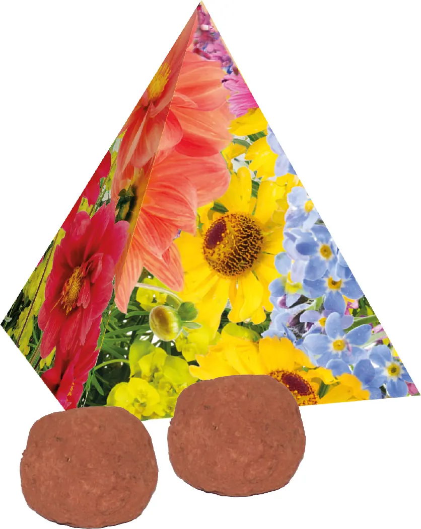 Pyramide Spitzenwachstum