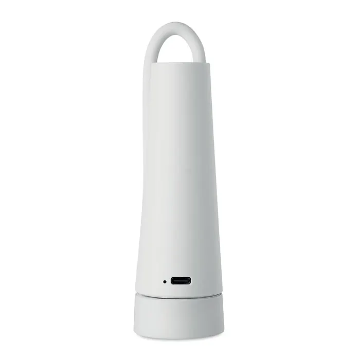 2in1 Lampe