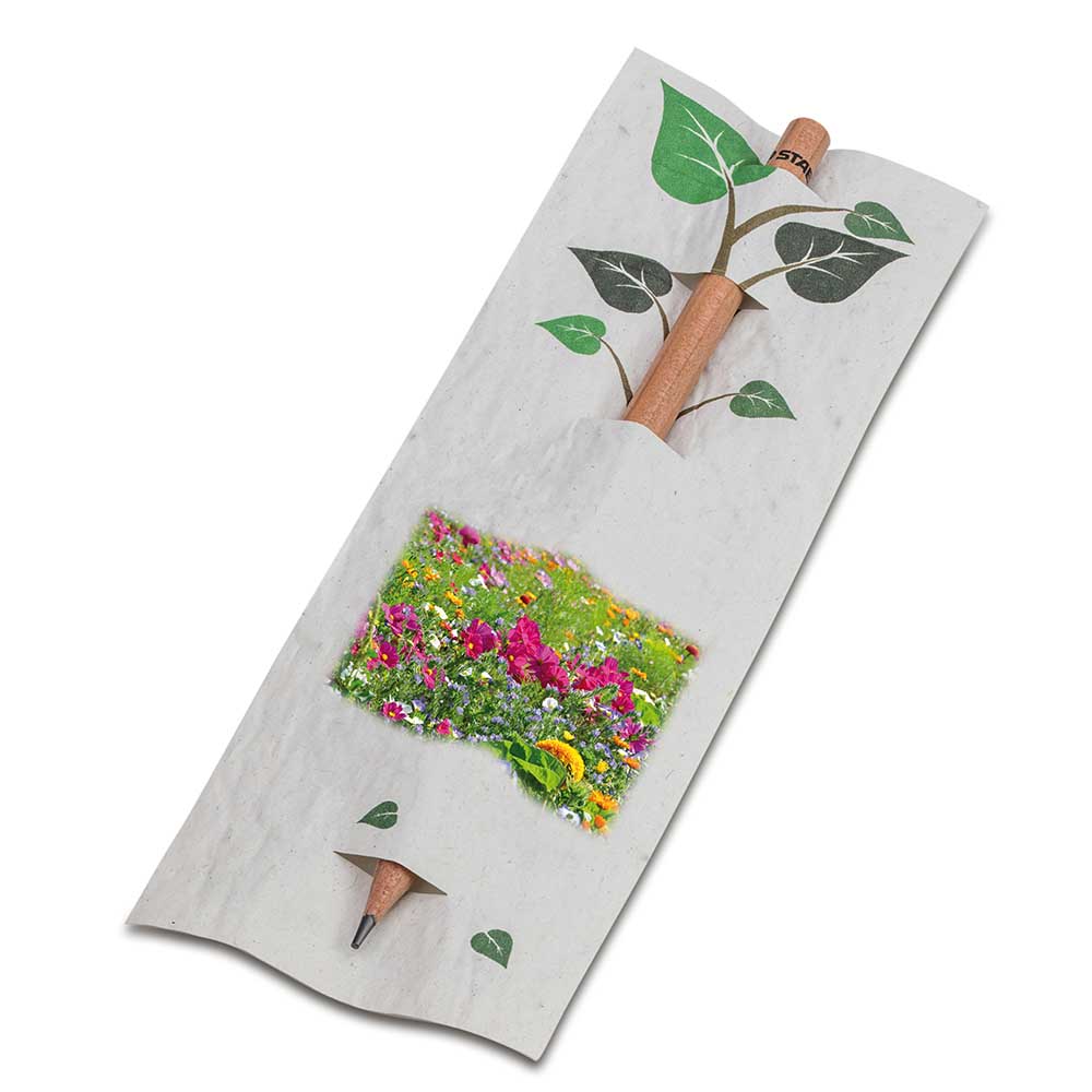 Bleistift im Samenpapieretui