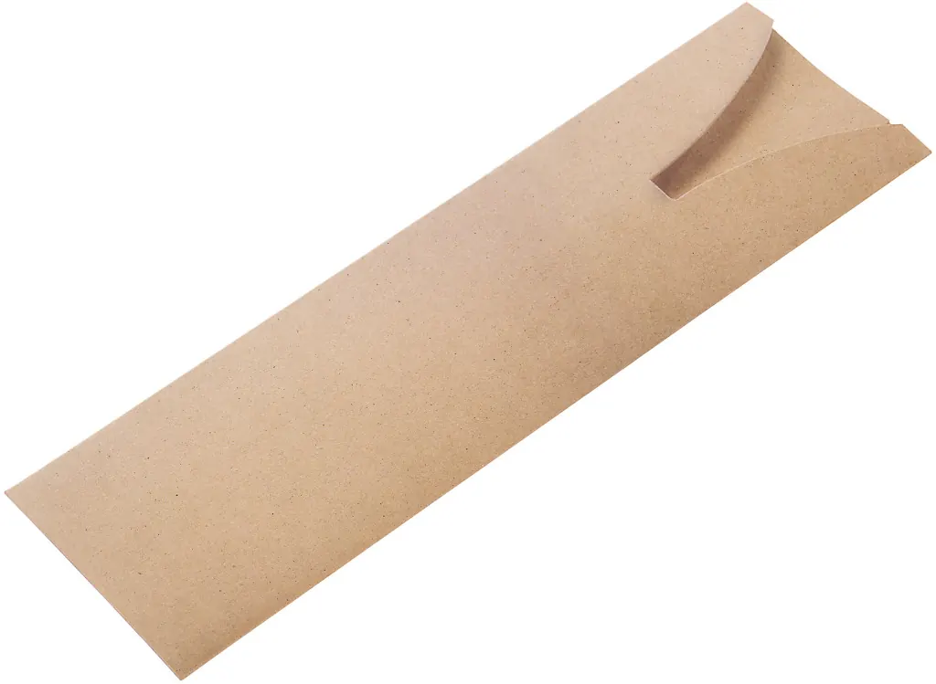 PAPPSTECKETUI recy Etui