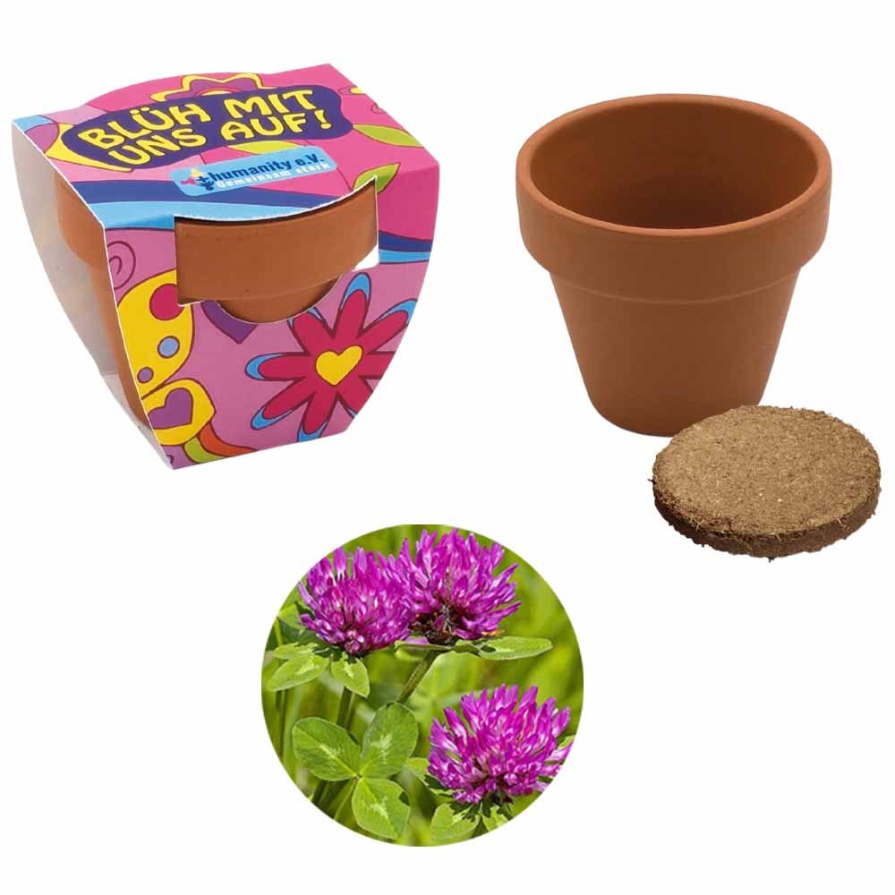 Terracotta Pflanztöpfchen