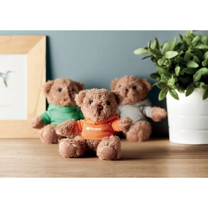 Teddybär mit Hoody 